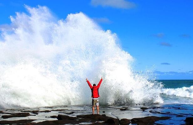 Dunedin to Te Anau via Catlins & Invercargill Small Group Tour 