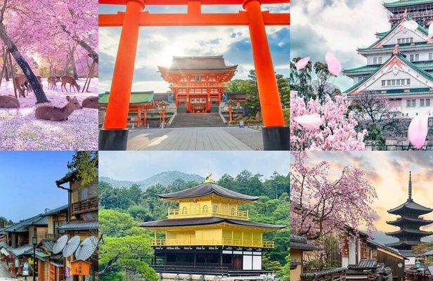 3 Day Private Osaka Kyoto and Nara Tour