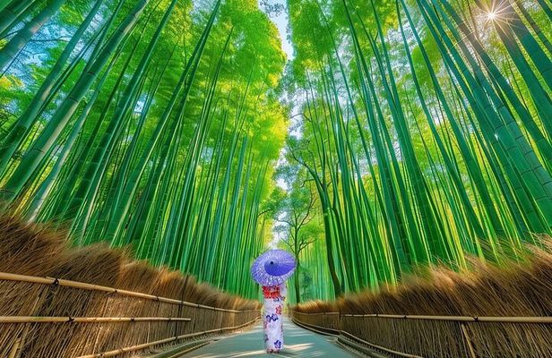 Kyoto Guided Private Tour 
