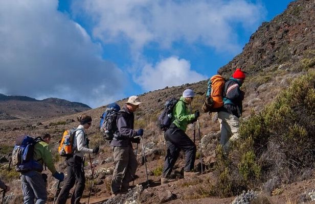 7 Days Kilimanjaro Climb Adventure via Rongai Route