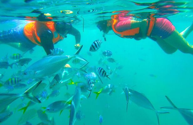 Kota Kinabalu Snorkeling Tour at Manukan and Sapi Island