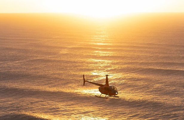 Tampa Romantic Helicopter Tour