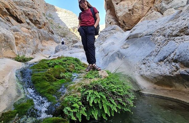 Explore Wadi Qurai Nature, Souq and Old Village, Hike and Swim