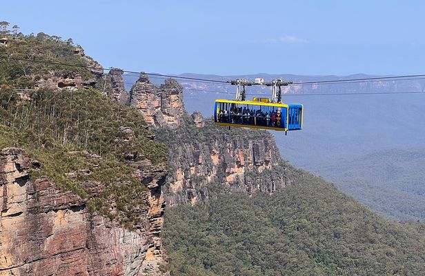 Blue Mountains Private Tours Sydney Zoo or Scenic world Options