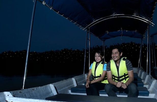 Private Kuala Selangor Firefly Tour with Seafood Dinner