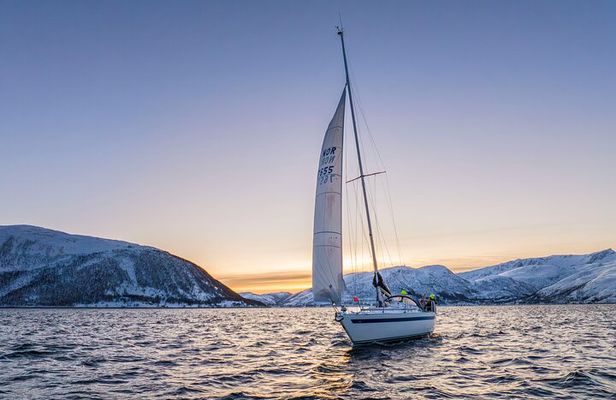 Explore Tromso Kaldfjord by Sailboat