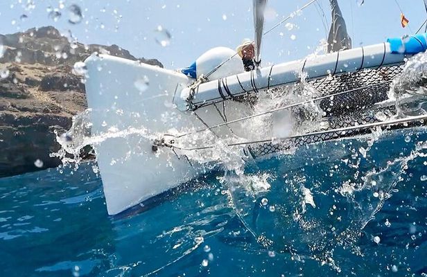Catamaran Eco Tours in Gran Canaria