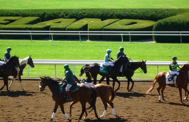 B&C horseback riding, Keeneland or Churchill Down Racetrack.