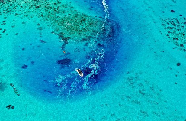 4h DE Snorkeling in the Turquoise Waters DE Tahiti Lagoon and Ocean