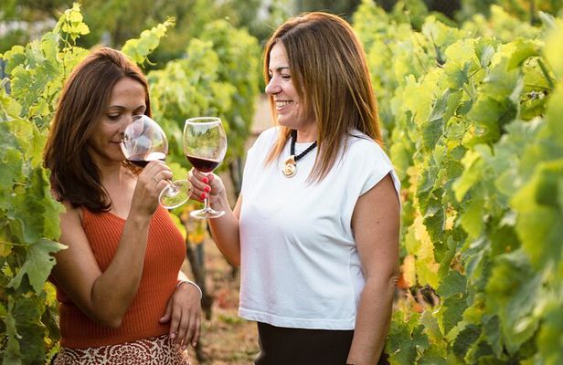 Mijas Organic Vineyard: Exclusive Sunset Wine & OliveOil Tasting