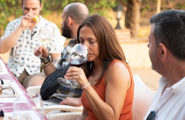 Near Malaga: Mijas Organic Vineyard, 5 Wines, 2 Oils & Tapas