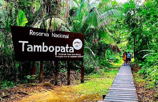 3 Days Tambopata National Reserve Wildlife Adventure