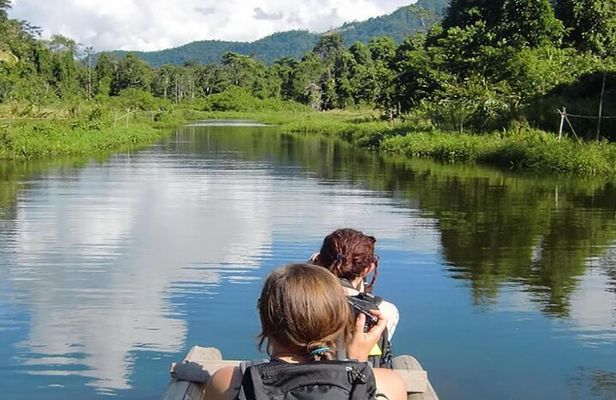 Manu Jungle Expedition 3 Days - 2 Nights from Cusco.