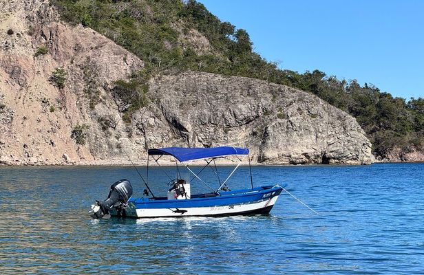 Half Day inshore Fishing Trip