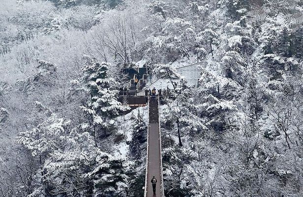 Seoul Winter Tour: Strawberry Picking, Gamaksan & Hanok Village