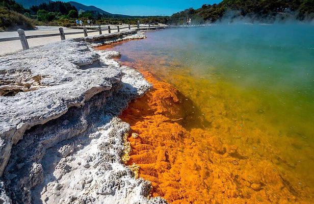 FULL DAY ROTORUA TOUR - Fully Customisable 13 hours Unlimited KMS