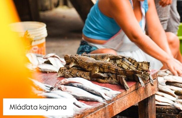 Belén Tour: Exotic Market, Floating City & Amazonian Life