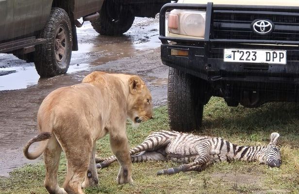 Four Days Trip to Tarangire Serengeti Ngorongoro Crater