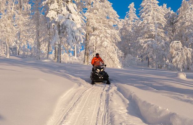 Tromso Snowmobile - Explore Arctic Wilderness by Day