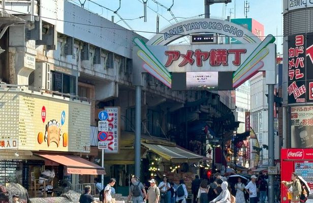 Ueno Park and Ameyoko Street Food Market Half Day Walking Tour