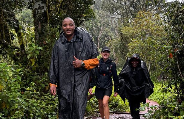 Mountain Kilimanjaro Climb Lemosho Route 6 Days