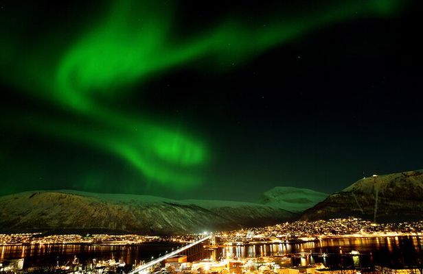  Tromsø: Classic arctic fjord cruise with lite lunch