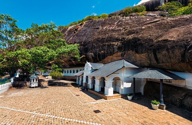 From Colombo: Sigiriya, Dambulla & Safari Day Trip 