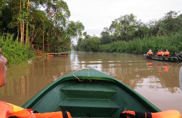 Sukau Rainforest Wildlife and Dawn Cruises Tour in Sandakan