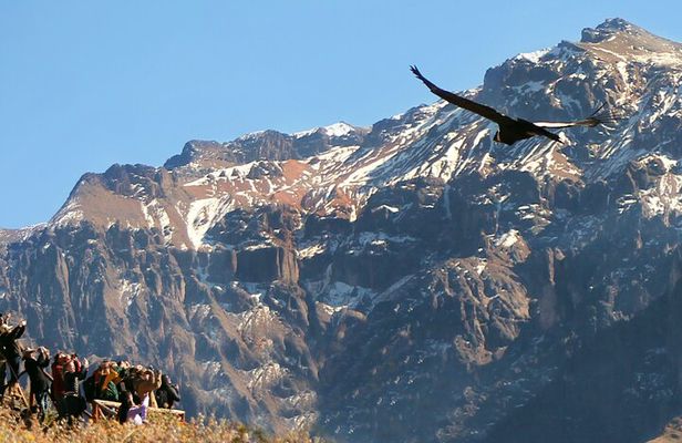 All inclusive Full day tour Colca Canyon: all Meals & Entrances