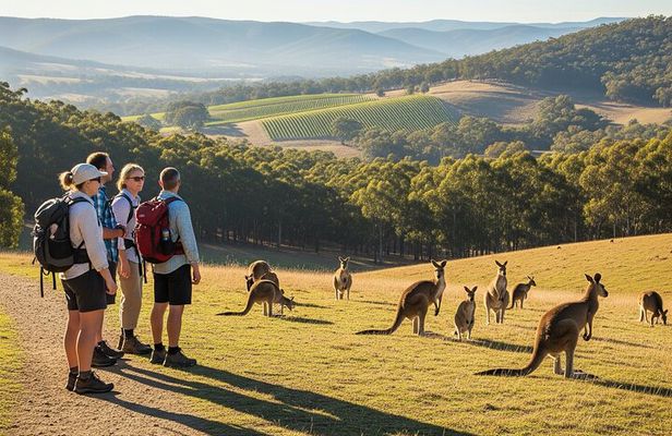Melbourne wildlife nature hike with Kangaroos and sunset picnic!