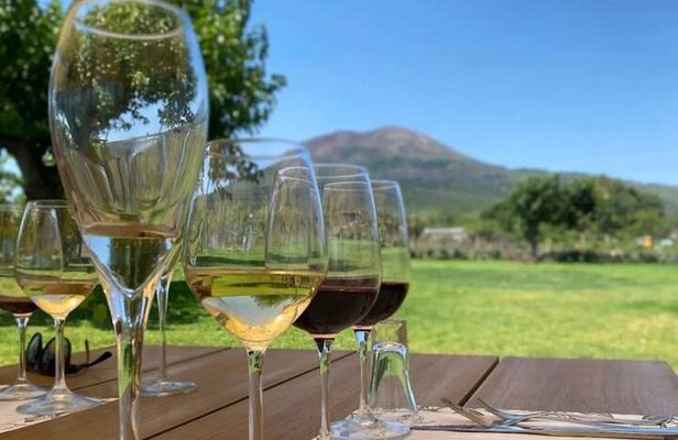 Organic Lunch With Wine Tasting from Pompeii