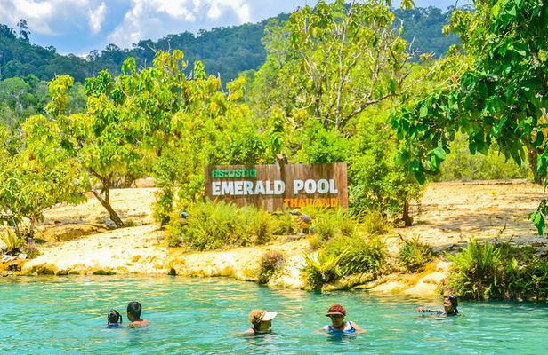 Krabi Jungle Escape Emerald Pool and Hot Springs Tour