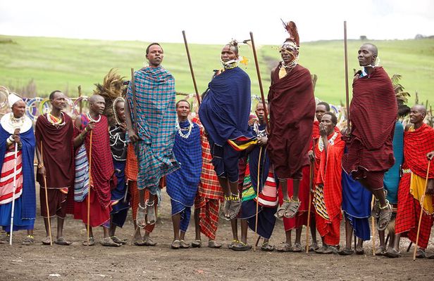 Authentic Maasai and Hadzabe Cultural Experience