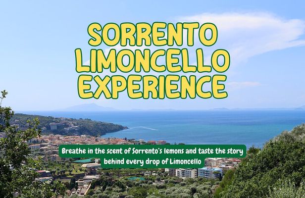 Discover Sorrento through lemons and olive trees