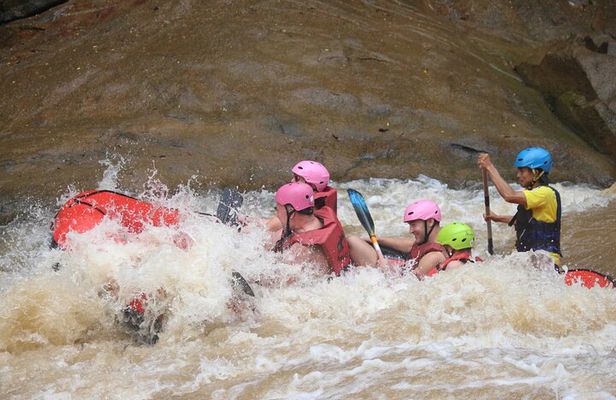 Ethical Elephant Visit and White Water Rafting in Chiang Mai