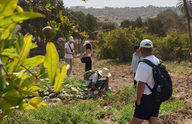 Essaouira Off-Beaten-Path: Full-Day Local Life &Nature Experience