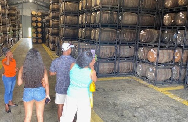 St. Lucia Chocolate Making and Rum Tour Experience