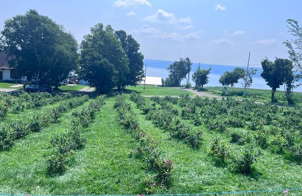 Quebec Half Day Tour by private car with Certified Guide