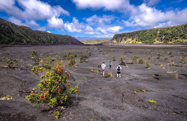 Expert Led Private Guided Tour Hawaii Volcanoes National Park