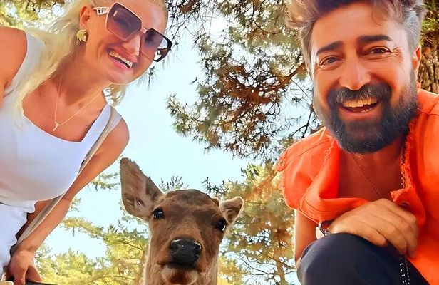 Kyoto and Nara Day Tour From Osaka with Deer Sightings