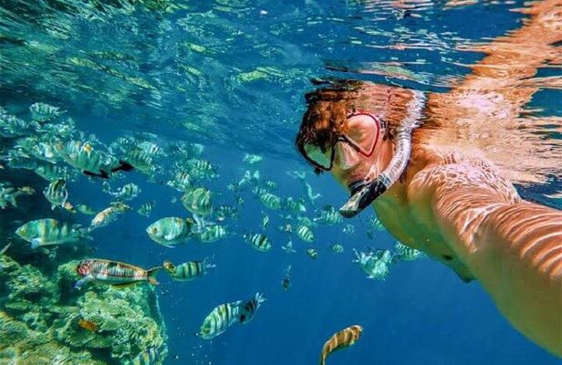 Snorkeling San Jose del cabo, lunch, open bar
