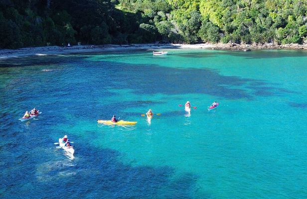 Tiritiri Matangi Sea Kayak Tour
