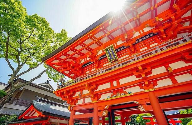 Kobe and Himeji One Day Private Tour From Osaka And Kyoto