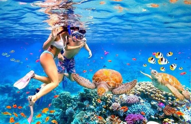 Private Blue Lagoon Snorkeling Lunch All Inclusive