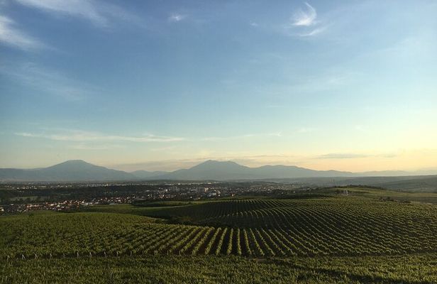 Kosovo Highlights in a Day Pristina, Prizren and Wine Finale