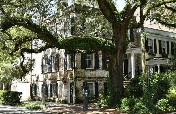 Discover Lesser Known Stories on the Hidden Savannah Walking Tour