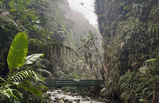 Private Full Day Jurassic Adventure with Waterfall & Dry Slide