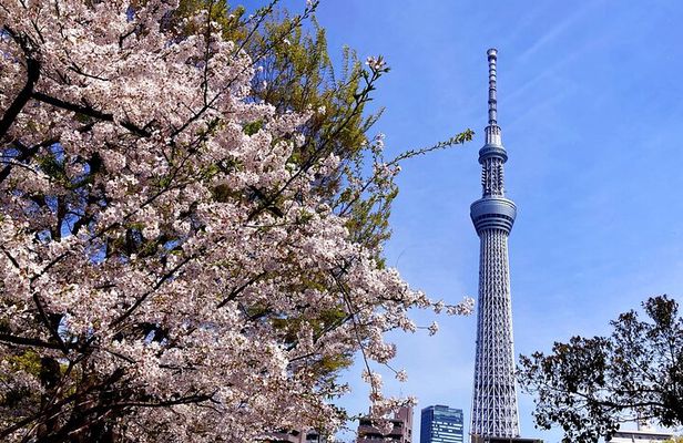 Unlock Hidden Tokyo: Private Custom Tour with a Local driver