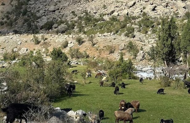 Tadjikistan 7 Lakes Day Trip from Samarkand with Lunch