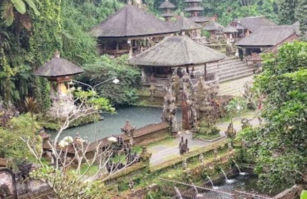 Ubud Tour Waterfall Rice Terrace Temple and Art Village